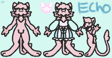 Echo